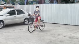 Cyclist rides bike with pet dog sitting in basket