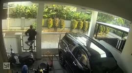 Exotic bird thief caught in the act by home CCTV in Jakarta, Indonesia