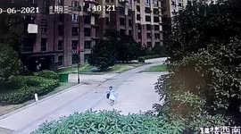 Flower pot falls 34 storeys, narrowly missing girl in China