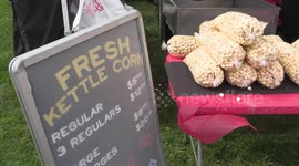 Thousands of people attend Woodbridge fall fair near Toronto in spectacular summer-like Canadian thanksgiving long weekend weather as COVID restrictions are lifted and some in person community events are once again allowed in Ontario