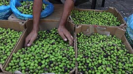 Palestinian vendors sell olives in the oldest olive market in the Gaza Strip