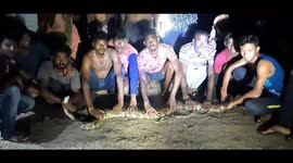 Locals catch and hand over 10-foot-long python to officials in southern India