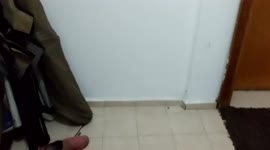 Three kittens not paying rent