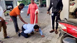 Stealthy rat snake slithers out from scooter in attempt to evade rescuer in India