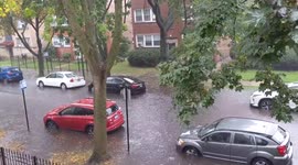 US: Severe Weather Batters Chicago Area And Leaves Damages