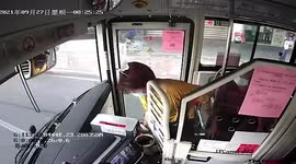 Woman unfamiliar with QR payment drops her phone into bus coin box