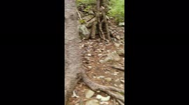 자연 힐리언스선마을 여행 자유 호텔 리조트 에서 직접찍은 동영상 당신은 자연을 집에서 느낄수있다 아름다운대한민국