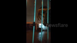 Hurricane Pamela makes landfall Mexico’s west coast with strong winds