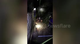 Brave locals rescue five puppies stuck under flooded house in Thailand