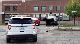 Cows escape from Missouri meat processing plant and later euthanized due to aggression