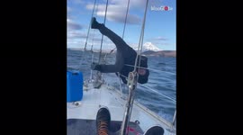 Sailor loses balance and almost falls into Pacific Ocean