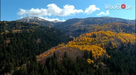 'Majestic drone footage taken in Park City, Utah showcases the beautiful Fall colors'