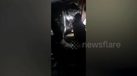 Giant python found hiding under house in Indonesia
