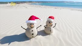 Zoo Animals Get Early Christmas Presents at Sydney’s Taronga Zoo