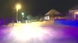 Cows detained a drunken