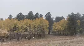 US: Early Winter Storm Brings Snow To Northeastern Colorado