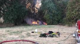 US: Vegetation Fire Breaks Out Along American River Parkway In Sacramento 2