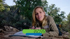 Calling All Adventurers! Join Olivia Degn on the Hunt for the Elusive Rocky Mountain Elk