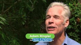 Check Out This Amazing Butterfly Jungle Featured at the San Diego Zoo