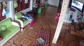 Deadly cobra slithers into family home in Thailand