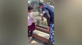 Tourists touch zoo animals through hole in Japan amusement park
