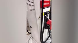 Driver catches huge spider on petrol pump