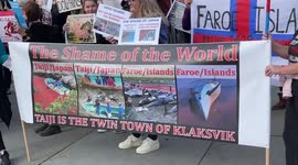 Protesters call for sanctions on Faroe Islands over barbaric dolphin hunting