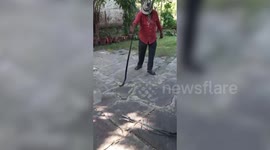 Cobra enters residence in central India