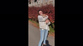 When you want to work, and your puppy: Attention please now, thank you