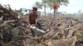Palestinian lumberjacks cut and prepares firewood for sale and production of charcoal at a workshop, in Khan younis in the southern of Gaza strip