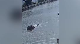 Passersby rescue motorist trapped inside car that fell into river in China