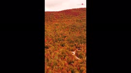Marvelous drone footage shows vibrant autumn colors in all their glory