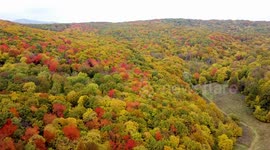 Aerial footage shows colourful autumnal foliage in Neamț county, Romania