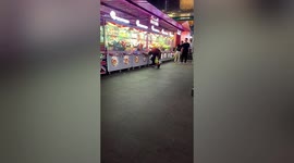 Man caught commanding dog to 'steal toys' from claw machine in China
