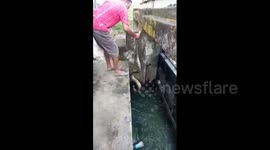 Brave rescuer saves 7-foot-long python trapped in canal in India