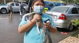 Locals take their pets to higher ground as floods swamp Thai town
