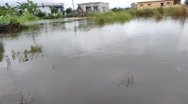 India: Over 30 People Dead As Torrential Rain Triggers Massive Flooding In Uttarakhand