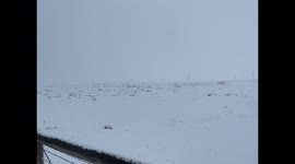 Heavy snowstorm hammers Wyoming