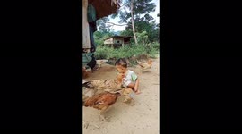 The two-year-old boy panicked when he was surrounded by dozens of chickens asking for food