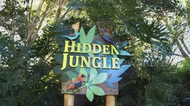 Use These Flowering Plants to Help the Local Butterfly Populations