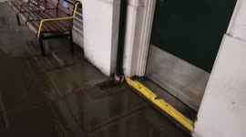 Heavy rainfall hammers underground station in Leyton