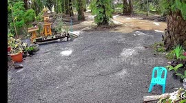 Mystery of alien-like circles on man’s front yard solved as CCTV shows it was stray dogs