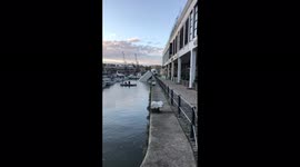 Truck hired by TV production firm plunges tail-end into Bristol harbour, UK