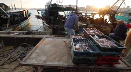 Palestinian fishermen sell fish at Gaza City's main port. Fishing is a major source of revenue for the impoverished Palestinian enclave