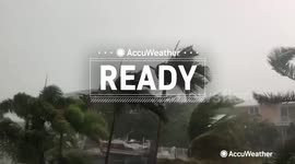 The best time to rake your leaves this fall