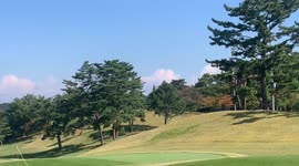 World number 2 Jin Young Ko among golfers taking part in BMW Ladies Championship in South Korea