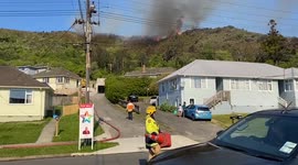 Firefighters battle to extinguish bush blaze near Wellington, New Zealand