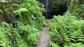 One of the highest waterfall on Madeira Island, filmed while a trek.Portugal.
