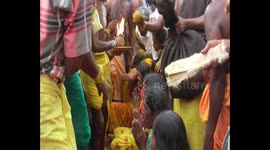 This festival's a smash! Hindu devotees have coconuts broken on their heads