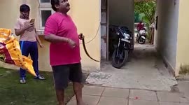 Indian Rat Snake slithers into residential area, rescued in southern India